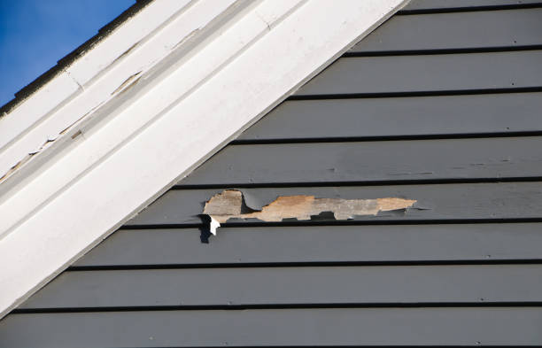 Best Property Management Cleanouts  in Richmond Heights, FL